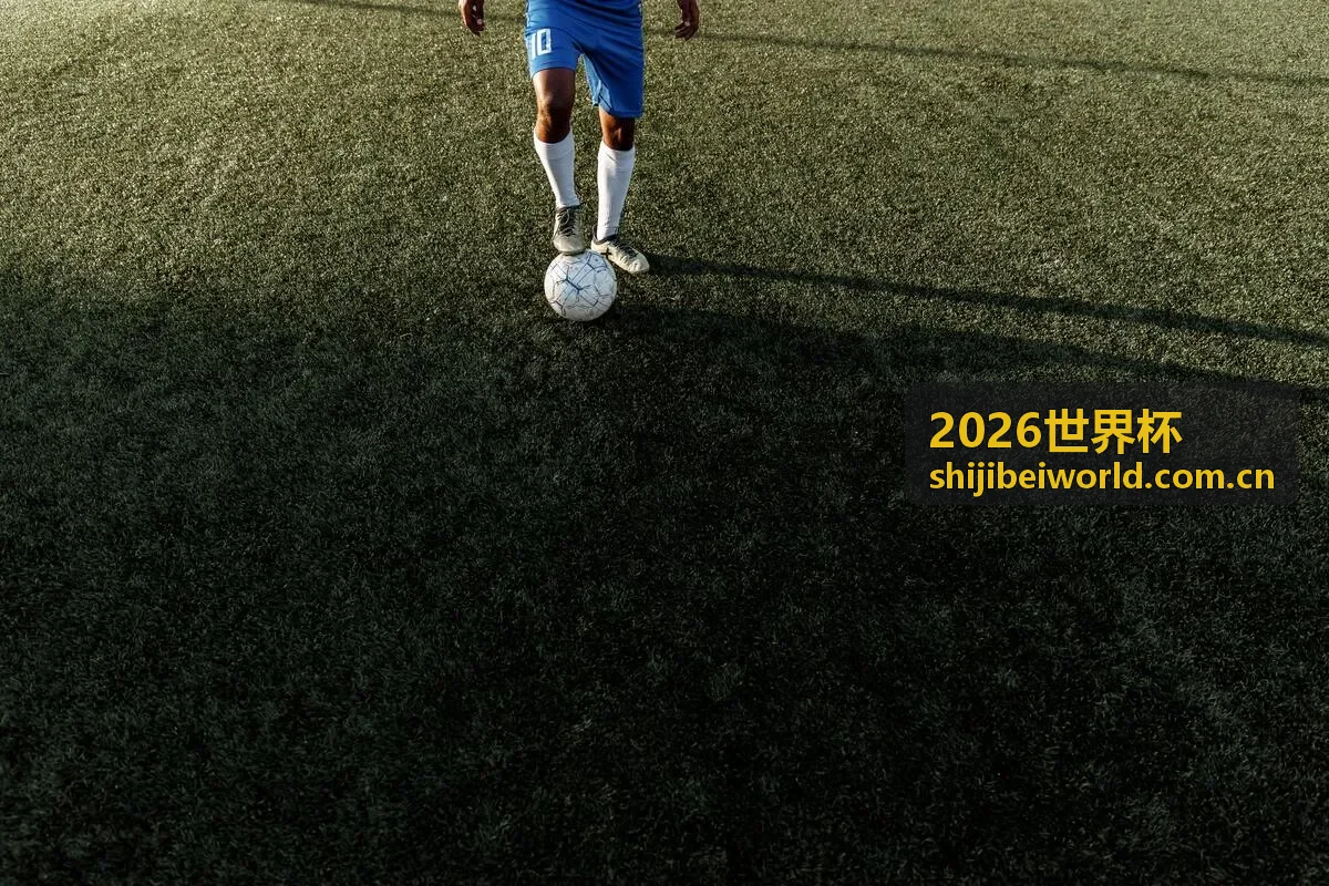 2026世界杯西班牙国家队球员
